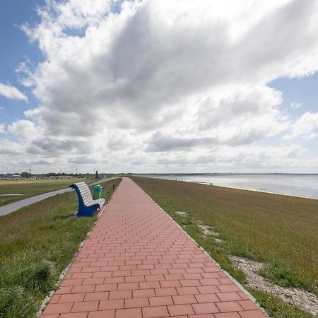 Direkt Am Deich - Ferienwohnung Amrum Im Gaestehaus Am Badedeich Dagebüll Exterior foto